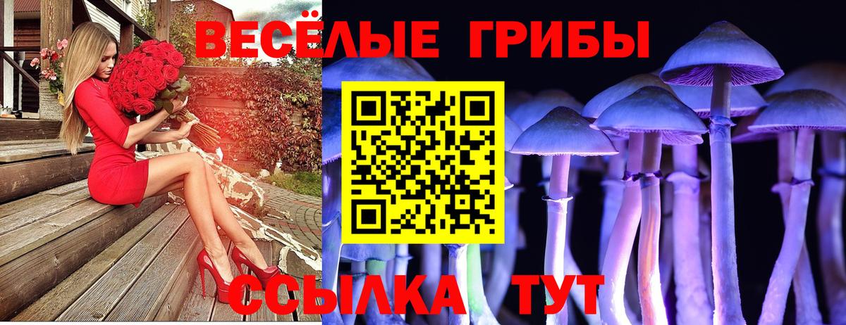 Псилоцибиновые грибы Cubensis Балашиха