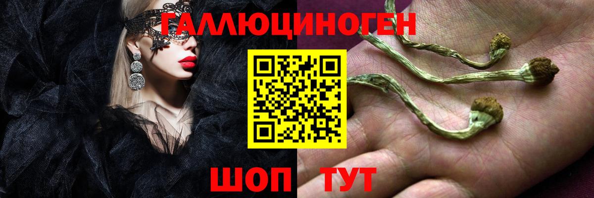 Галлюциногенные грибы мицелий  Вход с VPN  Балашиха 